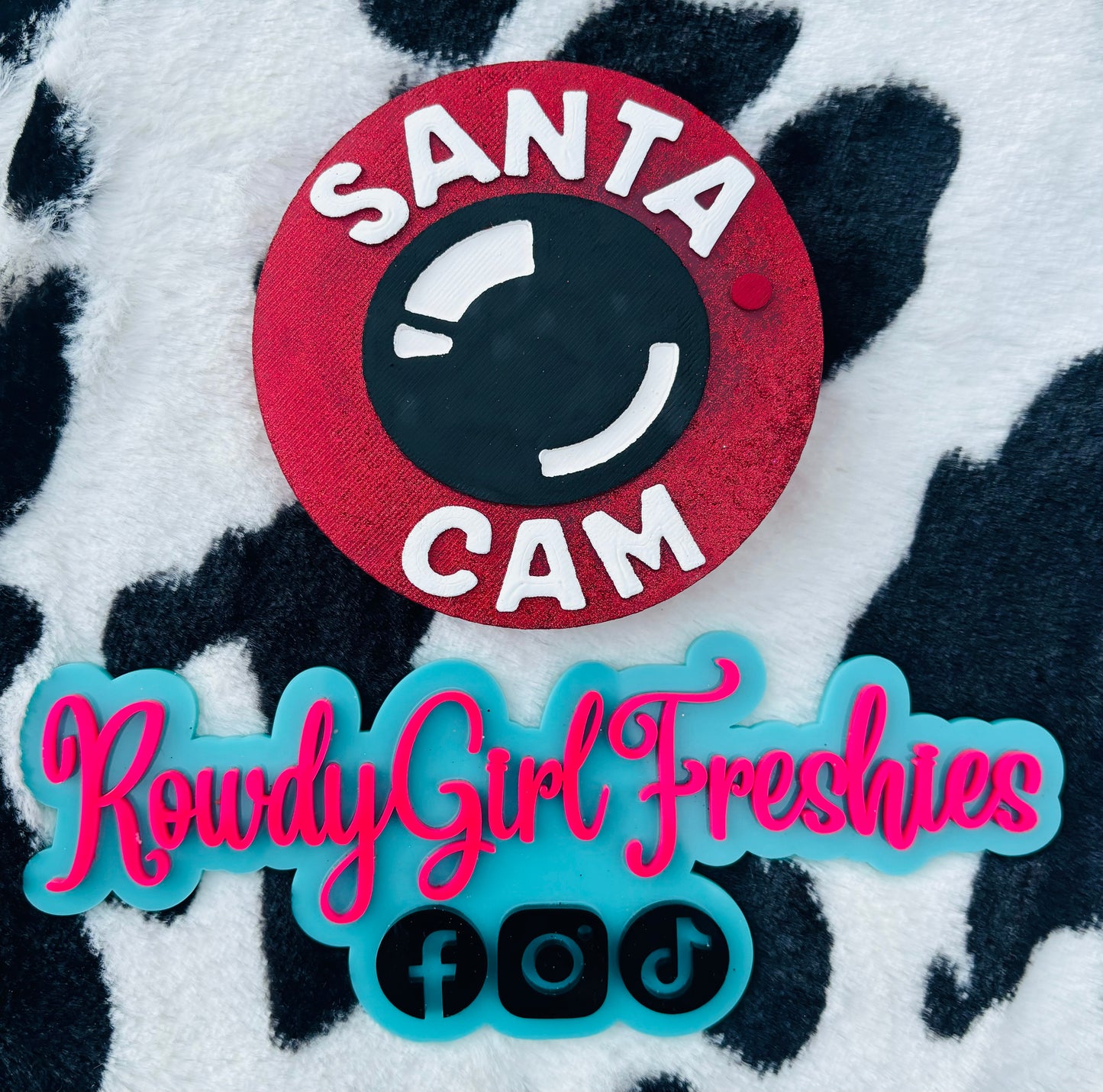 Santa Cam