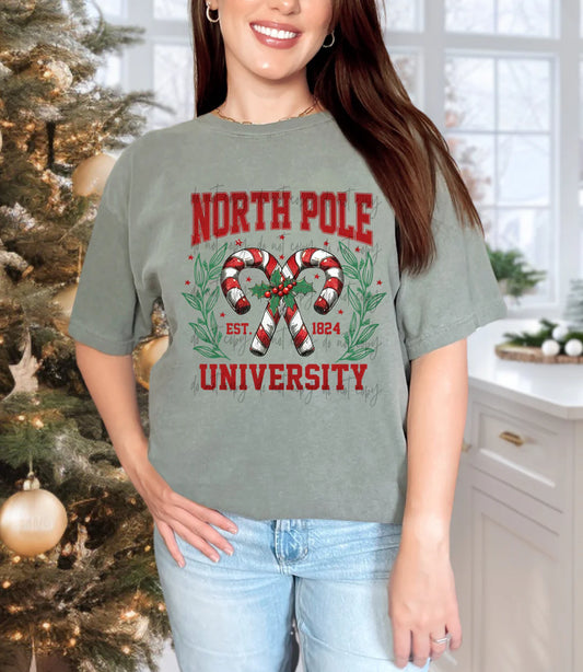 NORTH POLE UNIVERSITY