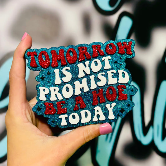 Tomorrow is not promised be a hoe today