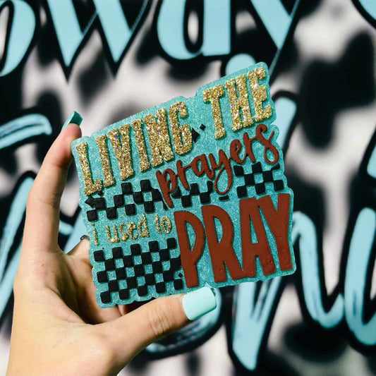 Living the Prayers I once Prayed